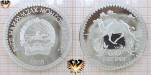 Kamel, 50 Terper, 1976, Mongolei, Gefährdete Tierwelt, Silbermünze 