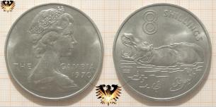 Münze mit Nilpferd, Gambia, One Dollar, 1970, 8 Shillings, Silbermünze.