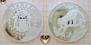Münze mit Brüllaffe, 10 Dollars 1995, Belize, Silbermünze  